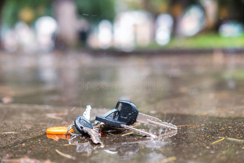 Set of Lost Keys on the Ring on Wet Ground on the Street Stock Image ...