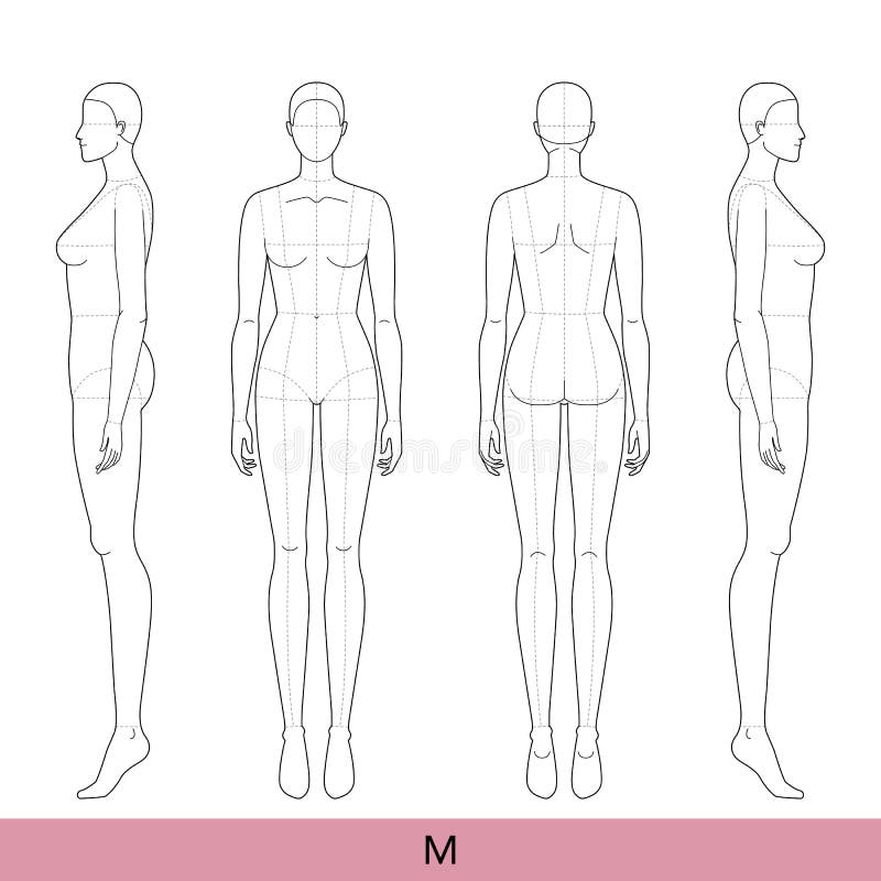 Human Body Outline Front Back Stock Illustrations – 645 Human Body ...