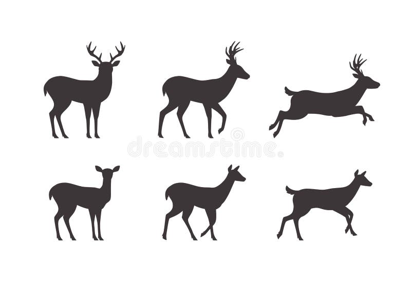 Hand drawn deer horns isolated on white background