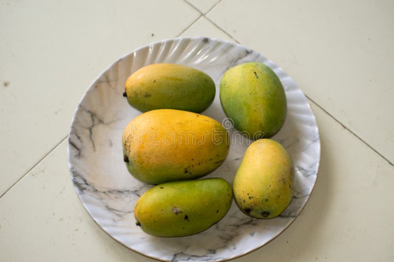 Set of mango fruits and mango slices stock photo