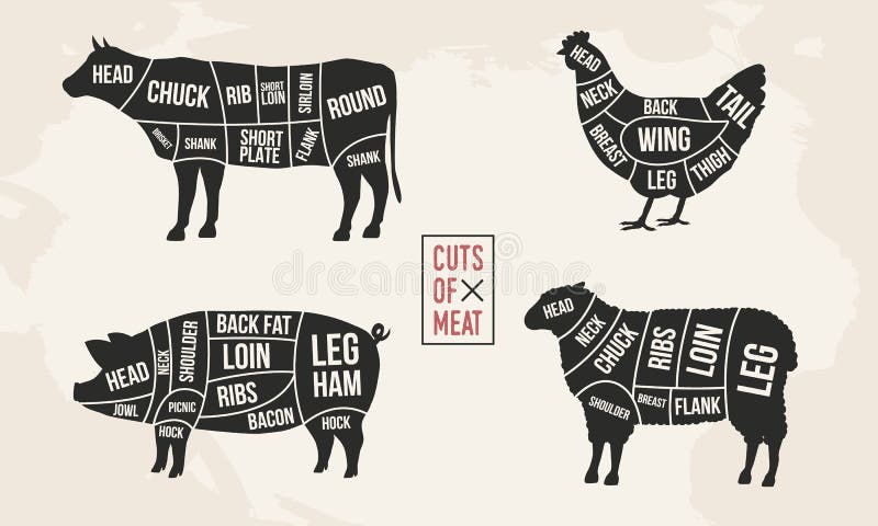 Butchers Cuts of Pork Pig Chef Novelty Gift Cufflinks