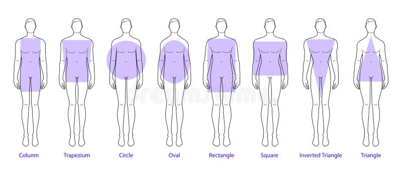 Set of Men Body Shape Types: Triangle, Column, Trapezium, Circle, Oval ...