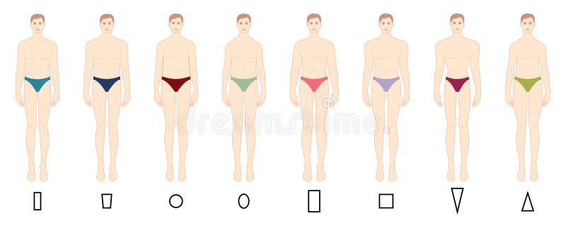 Human body shapes male figures types set Vector Image