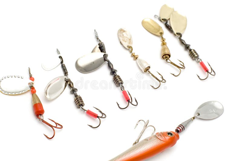 Set of minnow close up