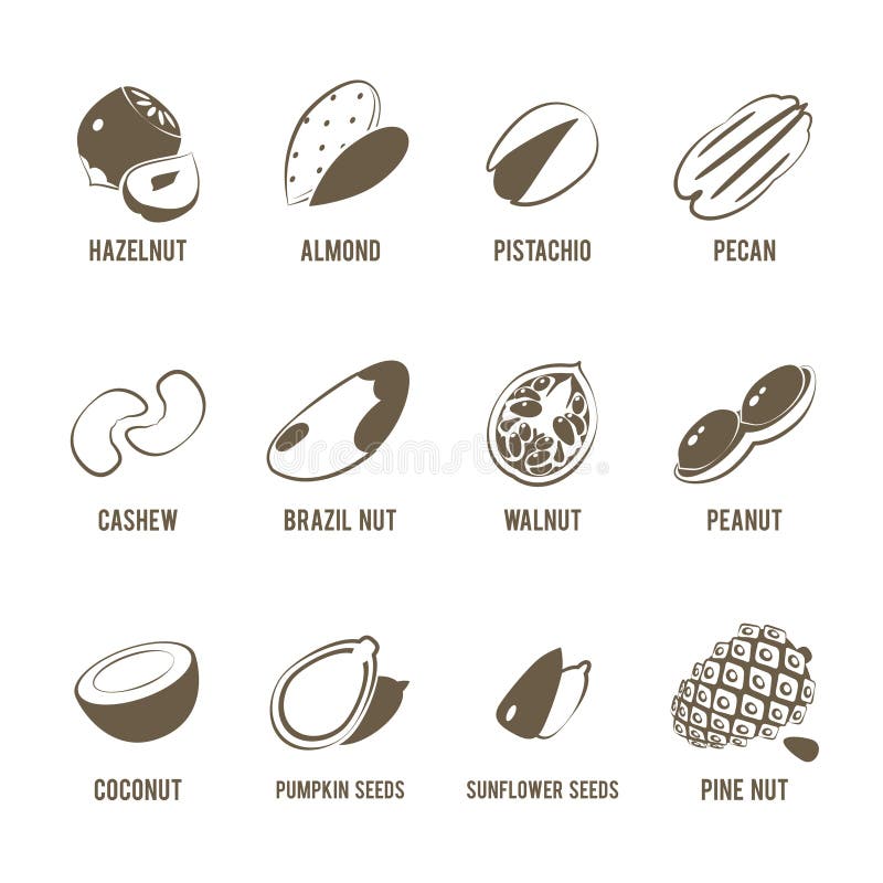 Set de pictograme alimentare monocrome lineart : nuci. royalty free illustration