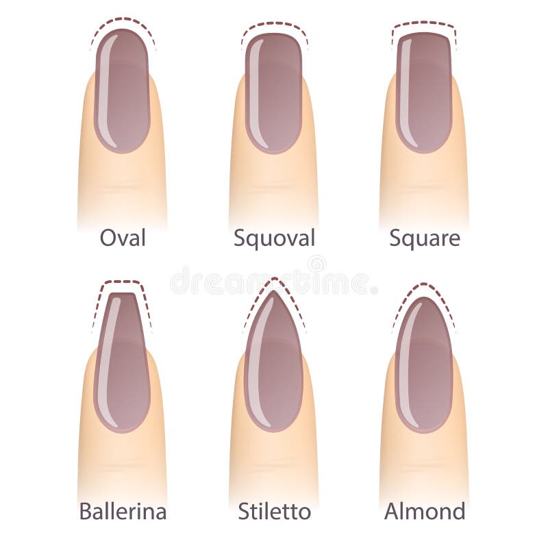 Nail Shapes Stock Illustrations – 683 Nail Shapes Stock Illustrations, Vectors & Clipart - Dreamstime Nail Shapes Stock Illustrations – 683 Nail Shapes Stock Illustrations, Vectors & Clipart - Dreamstime