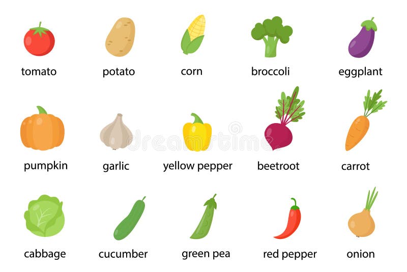 Vegetables Names Stock Illustrations – 135 Vegetables Names Stock  Illustrations, Vectors & Clipart - Dreamstime