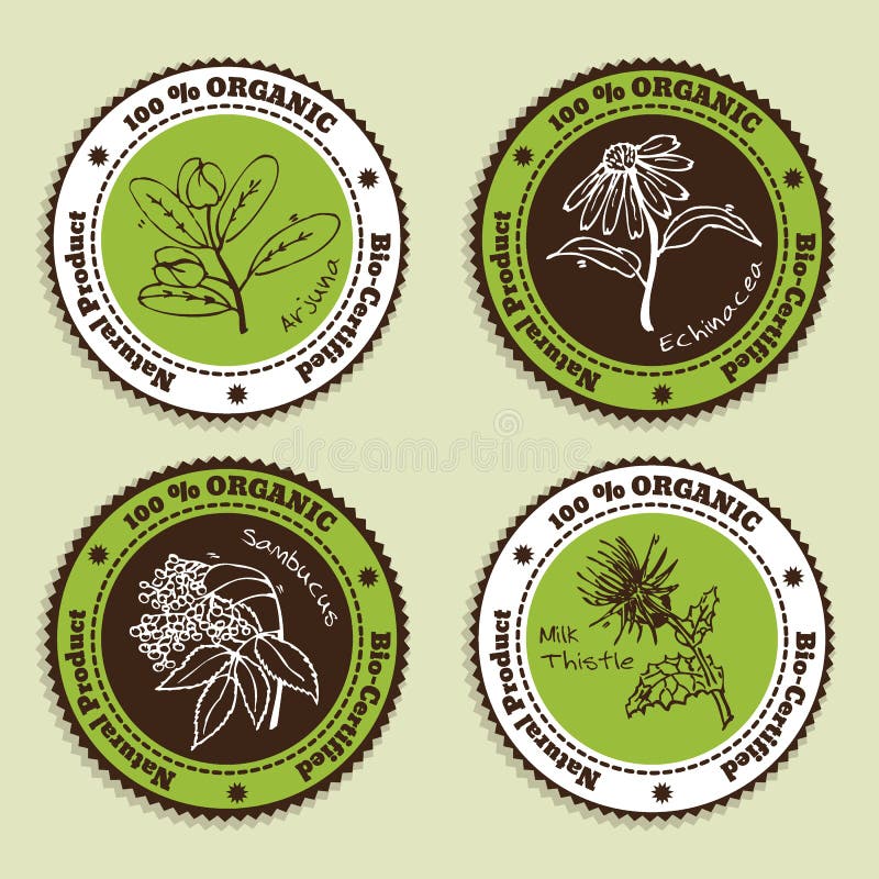 Set of Natural Organic Product badges. Collection of Ayurvedic Herbs. Arjuna, Echinacea, Sambucus, Milk Thistle vector illustration Set of Natural Organic Product badges. Collection of Ayurvedic Herbs. Arjuna, Echinacea, Sambucus, Milk Thistle vector illustration