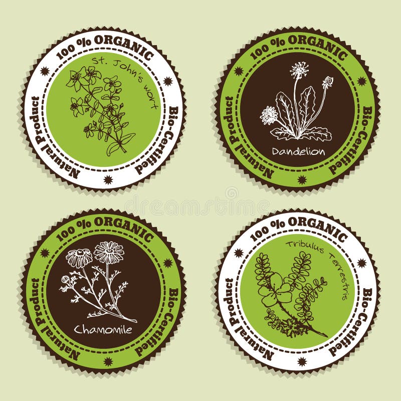 Set of Natural Organic Product badges. Collection of Ayurvedic Herbs. Natural Supplements. Dandelion, Chamomile, St John's wort, Tribulus Terrestris vector illustration Set of Natural Organic Product badges. Collection of Ayurvedic Herbs. Natural Supplements. Dandelion, Chamomile, St John's wort, Tribulus Terrestris vector illustration