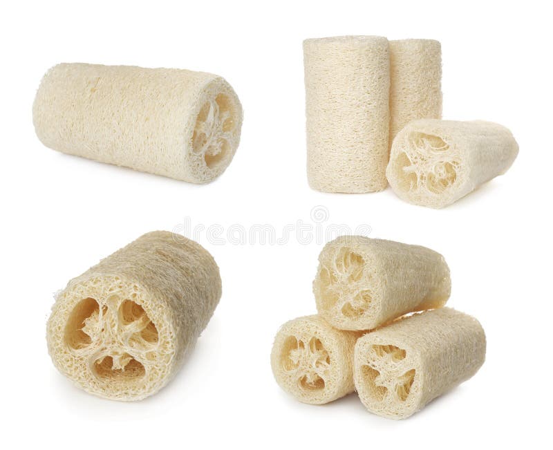 Set with Natural Shower Loofah Sponges on White Background Stock Photo