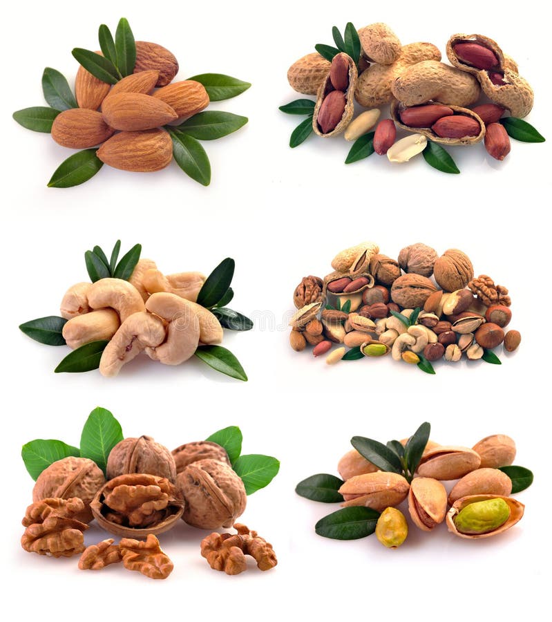 Set of nuts on a white background