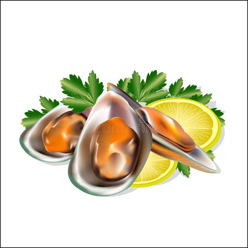 Set od owoce morza, mussels z zieleniami royalty ilustracja Set od owoce morza, mussels z zieleniami royalty ilustracja