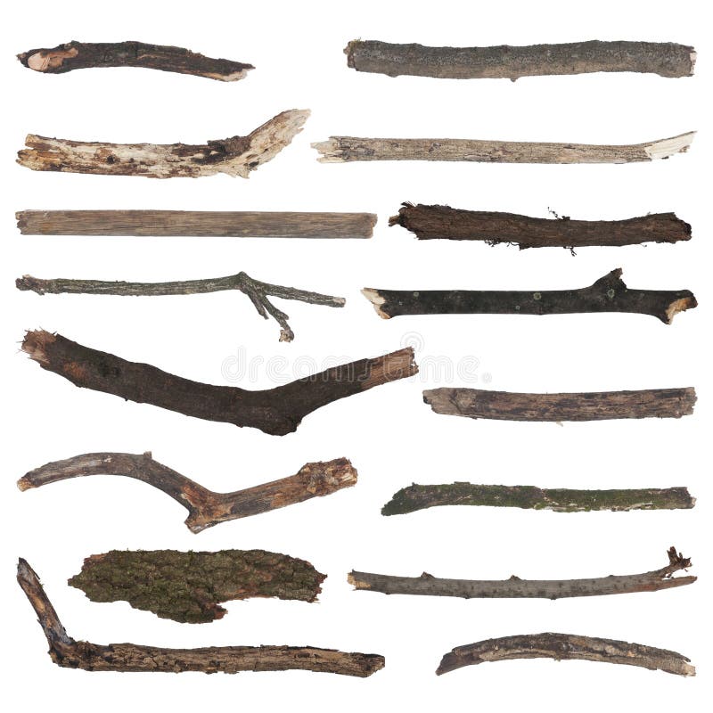 Set of old wooden branches stock image. Image of curve 60808533