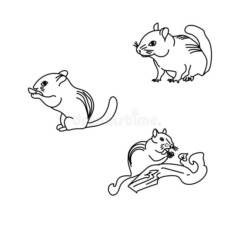 Set of Outline Chipmunk,, Hand Draw Vector Illustration, Cute Animal Line  Art Stock Vector - Illustration of head, linear: 191194874