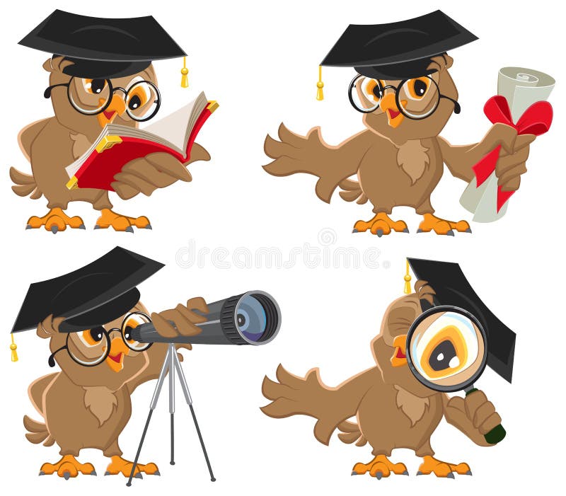 Set owl vector illustration