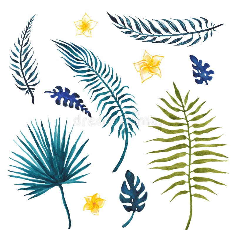 Tropical Palm Leaves, Watercolor Illustration Stock Illustration ...