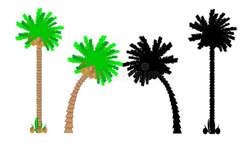 Set of palms royalty free illustration