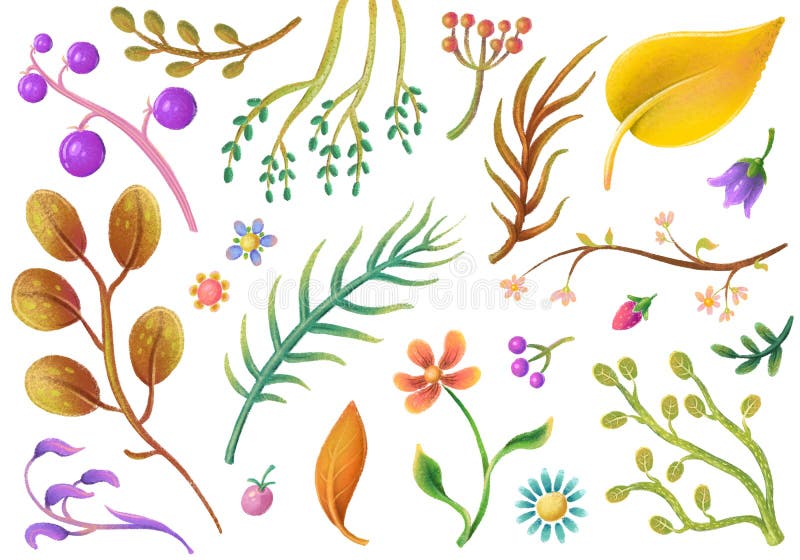 Set of pastel plant elements, flowers, leaves, floral clipart