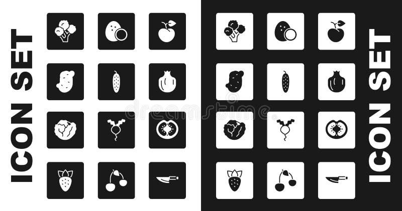 Set Peach fruit or nectarine, Cucumber, Potato, Broccoli, Pomegranate, Coconut, Tomato and Cabbage icon. Vector vector illustration