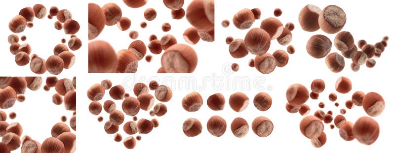 A set of photos. Ripe hazelnuts levitate on a white background