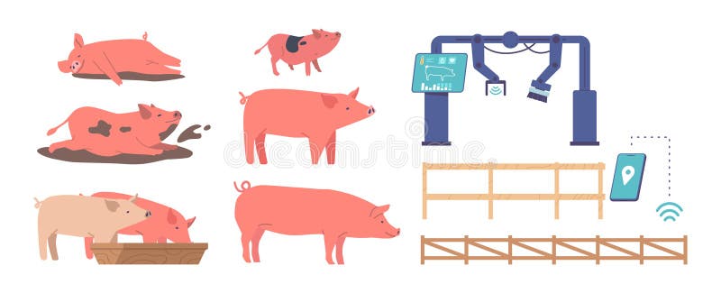 Piglets Rolling Stock Illustrations – 7 Piglets Rolling Stock