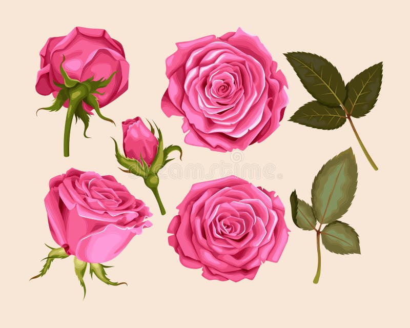 Seamless Pattern with Red Roses Stock Vector - Illustration of