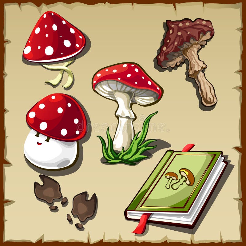 poisonous mushroom images and clipart