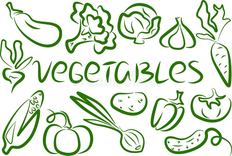 Set of Popular Vegetables Green Outline Stock Illustration