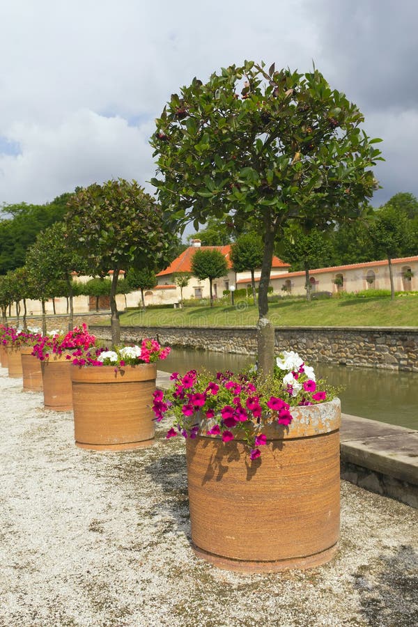 A Set Of Pots With Plants Planted In The Castle Ga Stock Photo Image