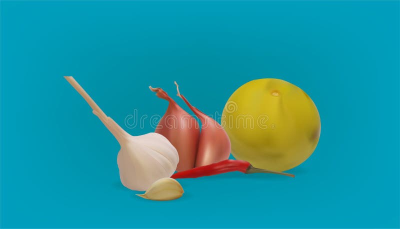 Premium Vector  Illustrator of shallots