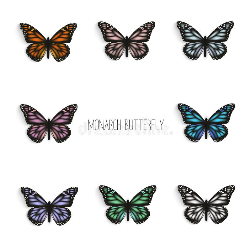Set Of Realistic Monarch Butterflies In Different Colors. Stock Vector ...