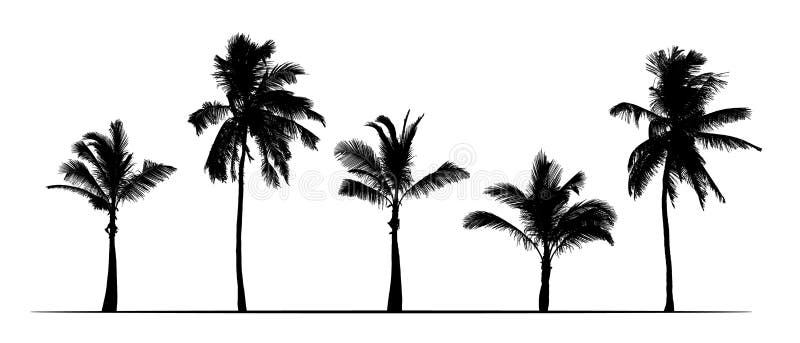 Set of realistic silhouettes of palm trees. Isolated on white background, vector royalty free illustration Set of realistic silhouettes of palm trees. Isolated on white background, vector royalty free illustration