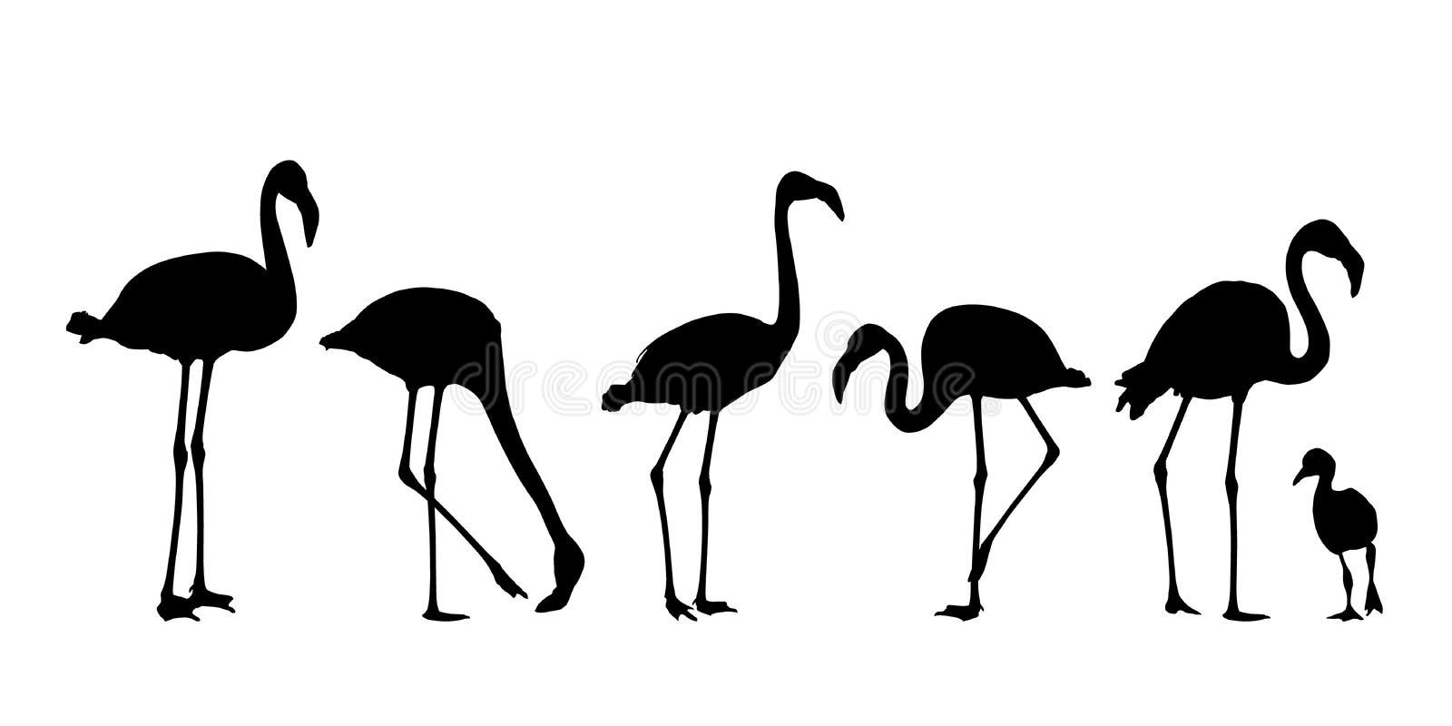 Flamingo Vector Illustration Black Silhouette Stock Vector ...