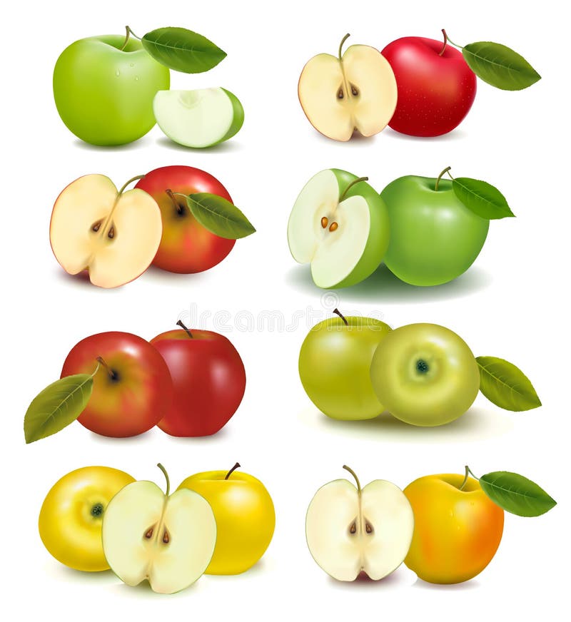 Set of red and green apple fruits