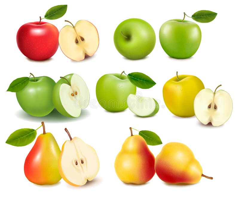 Set of red and green apple fruits.