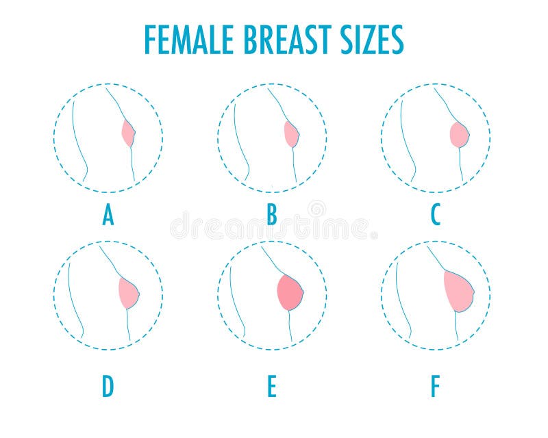 Boob Sizes Save Up To 15 www ilcascinone boob-sizes-save-up-to-15-www-ilcascinone