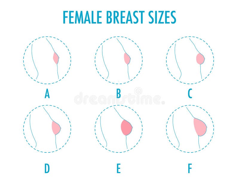 Set of Round Line Icons of Different Female Breast Size, Body Side View  Stock Vector - Illustration of medical, changing: 99003490