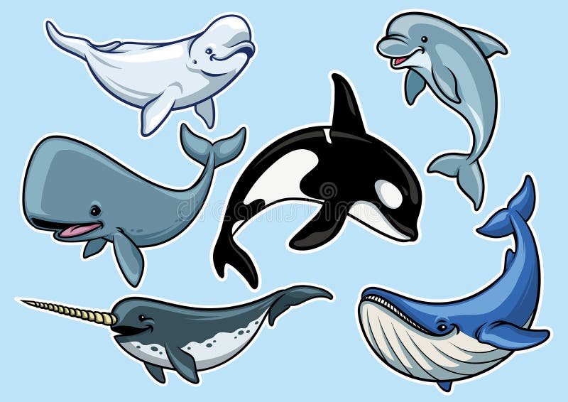 Set rozochocony różnorodny wieloryby