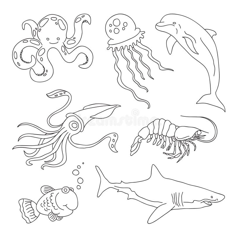 Set rysunki morscy mieszkanowie - rekin, kałamarnica, ryba, jellyfish, delfin, garnela, ośmiornica ilustracji Set rysunki morscy mieszkanowie - rekin, kałamarnica, ryba, jellyfish, delfin, garnela, ośmiornica ilustracji