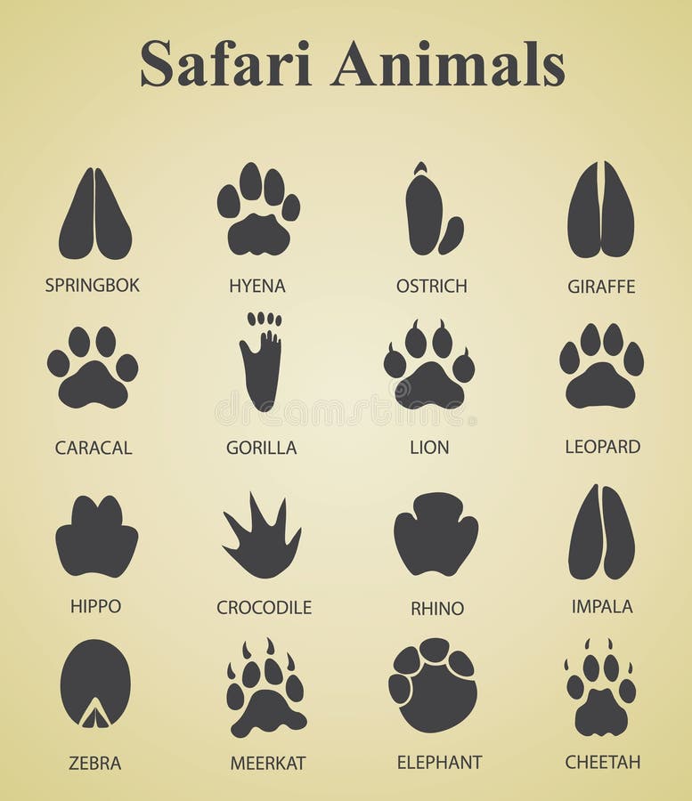 Animal Tracks stock vector. Illustration of feet, dirt - 25104397 Animal Tracks stock vector. Illustration of feet, dirt - 25104397