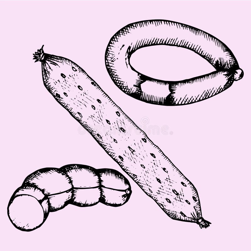 Set of sausage stock vector. Illustration of cuisine 66166028