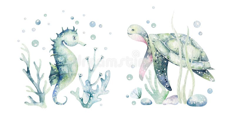 549 Sea Animals Watercolor Stock Photos - Free & Royalty-Free Stock Photos  from Dreamstime