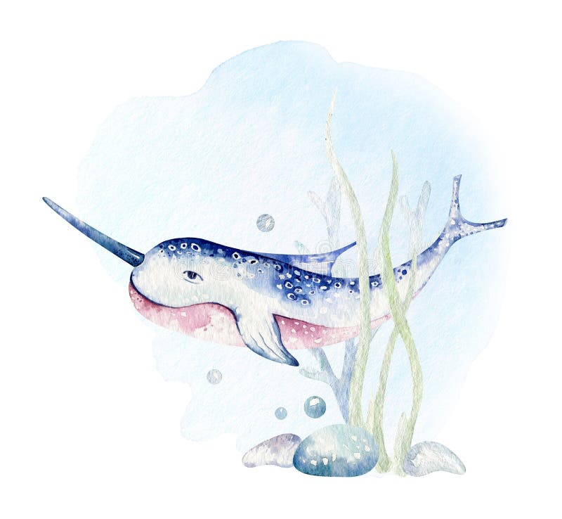 549 Sea Animals Watercolor Stock Photos - Free & Royalty-Free Stock Photos from Dreamstime 549 Sea Animals Watercolor Stock Photos - Free & Royalty-Free Stock Photos from Dreamstime