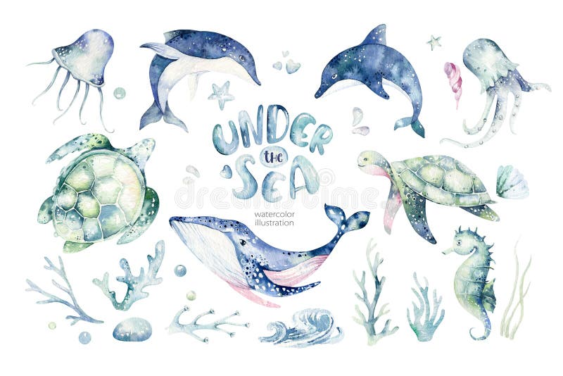 Set of sea animals. Blue watercolor ocean fish, turtle, whale and coral. Shell aquarium background. Nautical wildlife