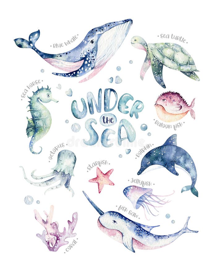 Set of sea animals poster. Blue watercolor ocean fish, turtle, whale and coral. Shell aquarium background. Nautical
