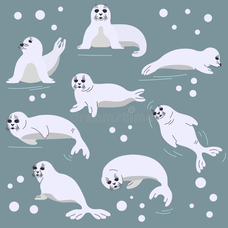 Set of Seal Pups in Different Poses. Vector Illustration with Seal Animals  and Snowaflakes in a Flat Style Stock Illustration - Illustration of beach,  animals: 169736239