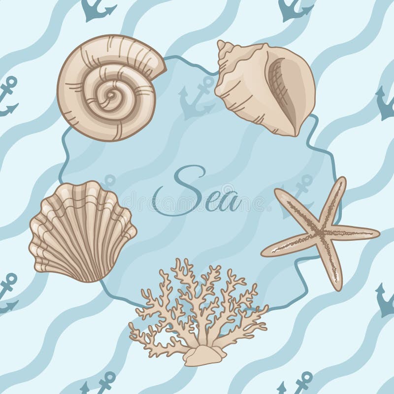 Set of seashells with seamless patterns of waves