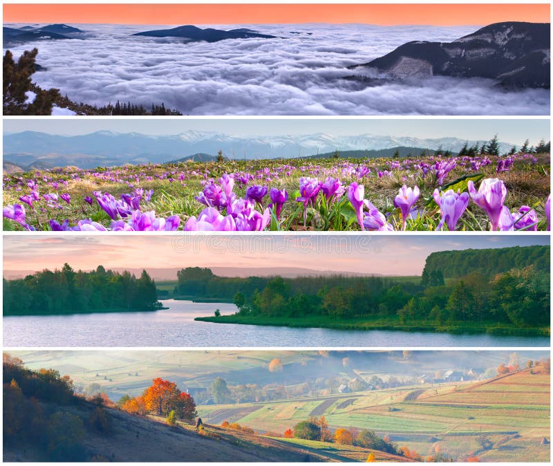 Set Of The 4 Seasons Landscape Stock Photo Image of country