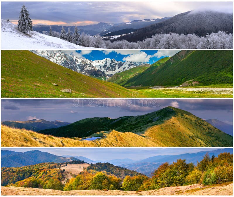 Set of the 4 Seasons Landscape Stock Photo Image of scenery