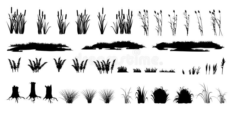 Set of shoots of reeds, reeds and coastal grass. Ferns and rotten stumps. Swamp landscape. View of the river bank